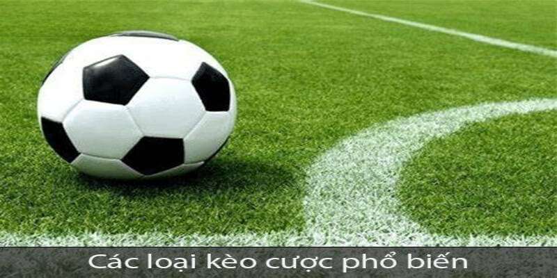 Cá Cược Thể Thao New88 Có Gì Hấp Dẫn? 3 Các loại kèo cá cược thể thao New88 phổ biến